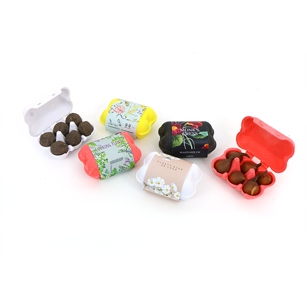 Mini eierdoosje: 6 zaadbommen