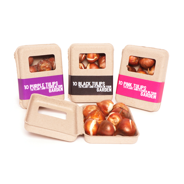 Pulp schaal doosje met als inhoud 10 tulpenbollen