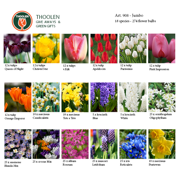 Jumbo: 274 verschillende bloembollen