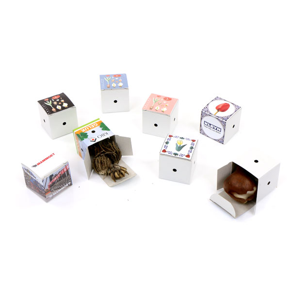 Mini bollen doosje - Gladiool