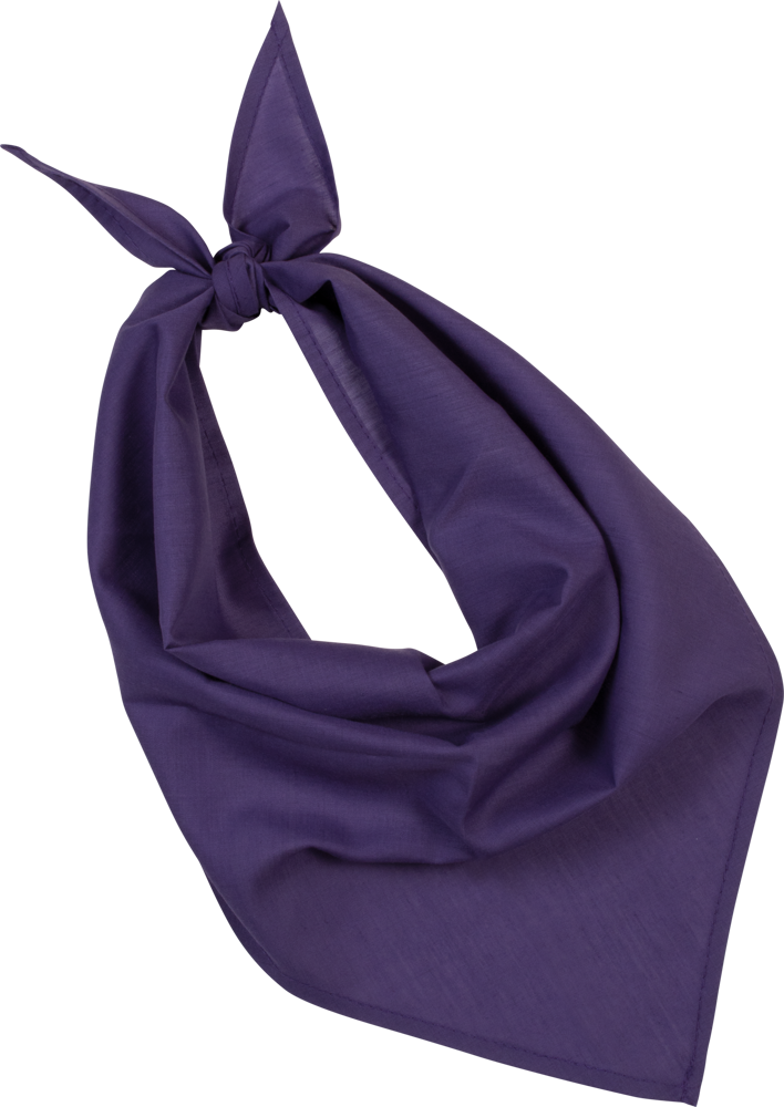 KP064 - Fiesta - Bandana - Purple
