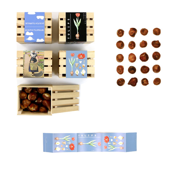 Palletkistje met bloembollen