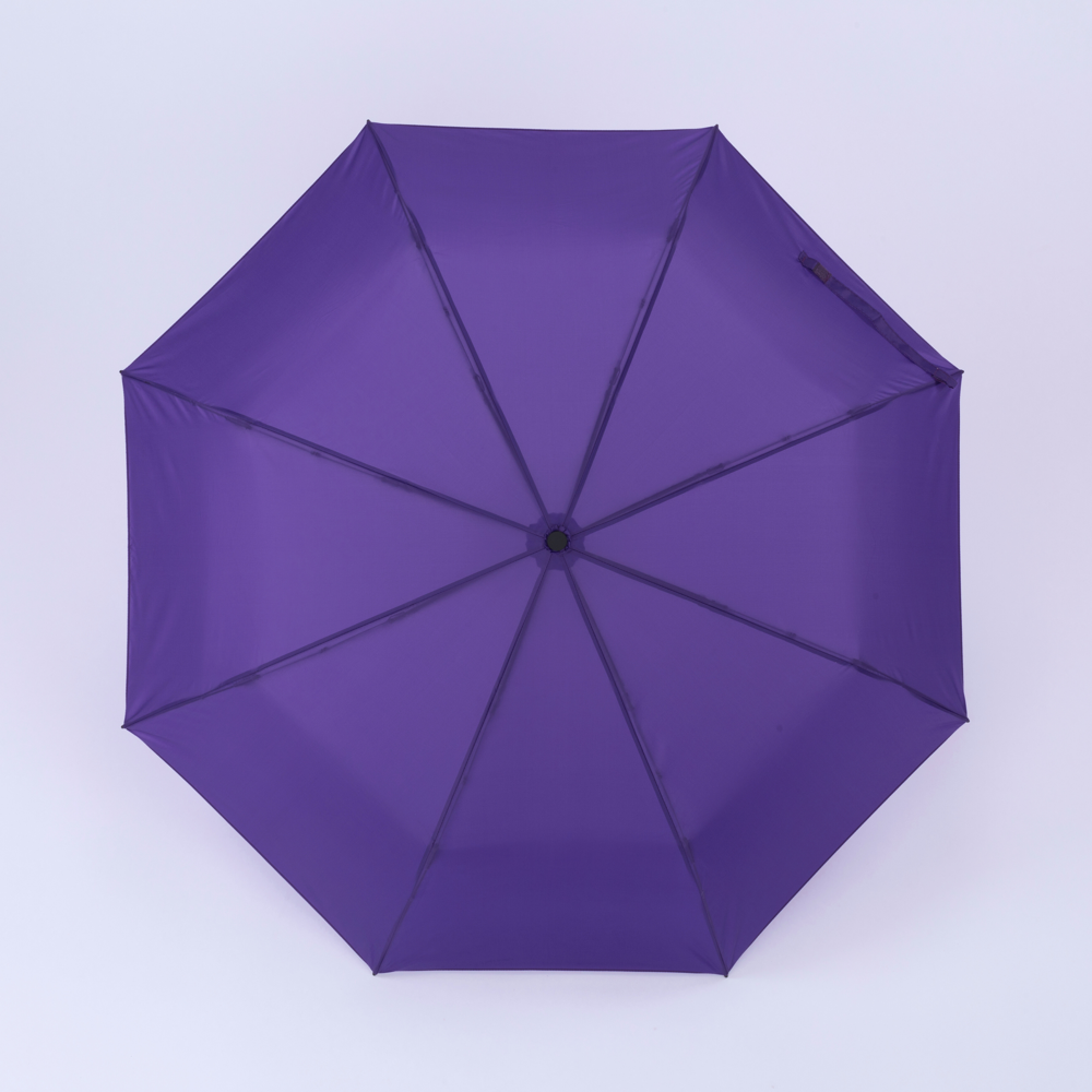 Primo Set: vacuümmok 400 ml & automatische paraplu