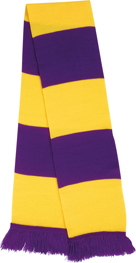 R146X - Team Scarf - Purple / Yellow