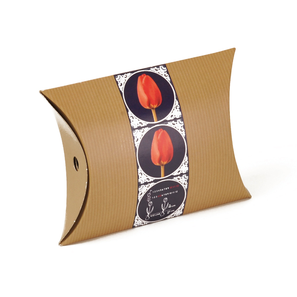 Gondeldoosje: 5 Gladiolen