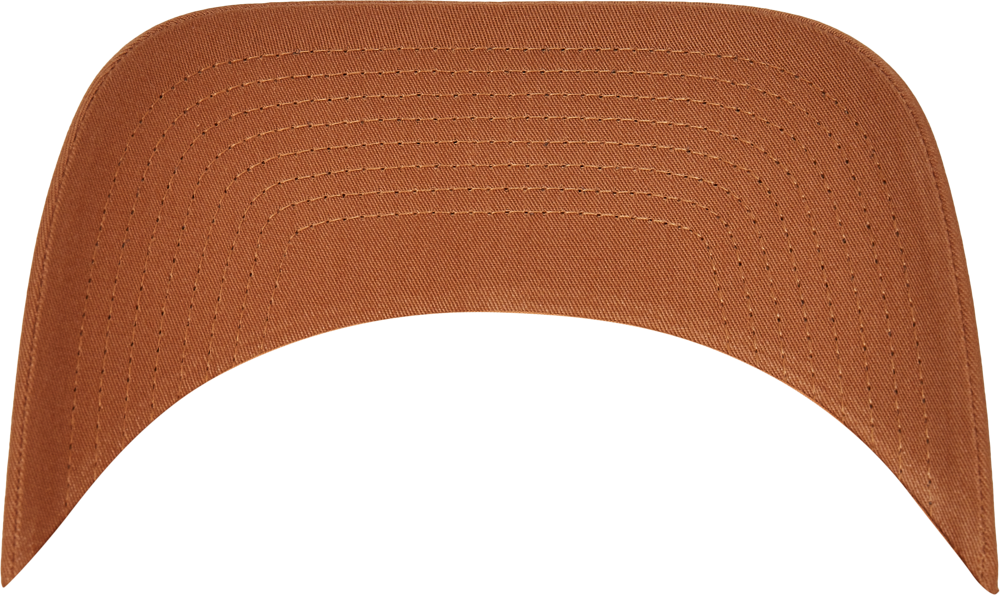 FL6606 - Pet Retro Trucker