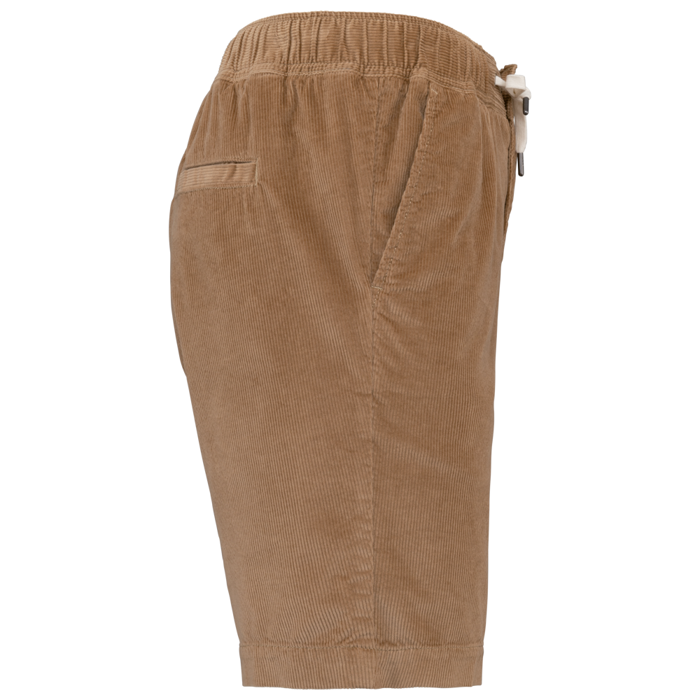 SP742 - Ecologische herenshort in ribfluweel