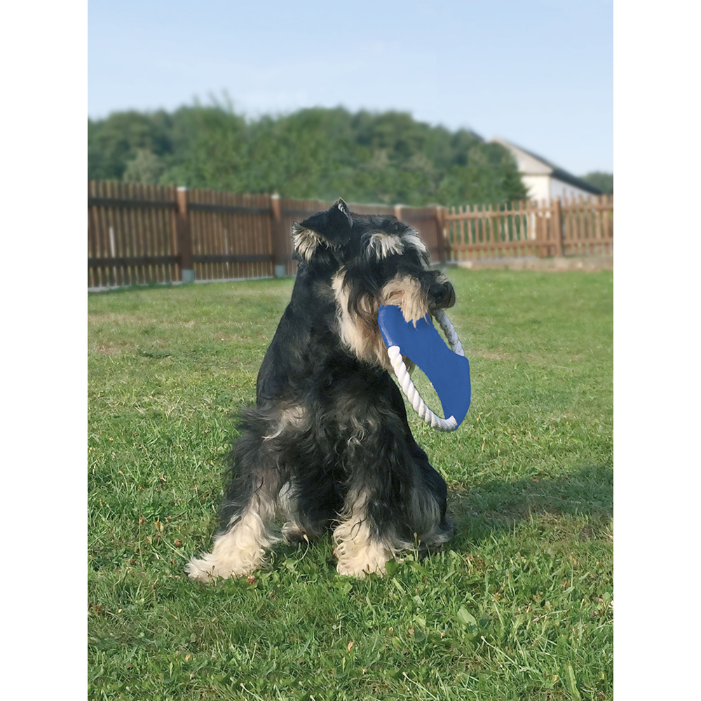 Honden Frisbee
