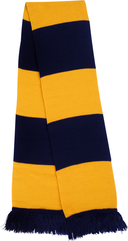 R146X - Team Scarf - Navy / Gold
