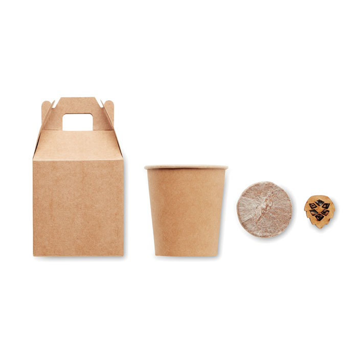 GROWTREE™ - Pijnboom set