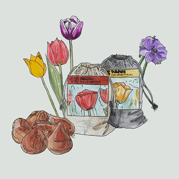 Linnen zakje XS zwart: Gladiolen