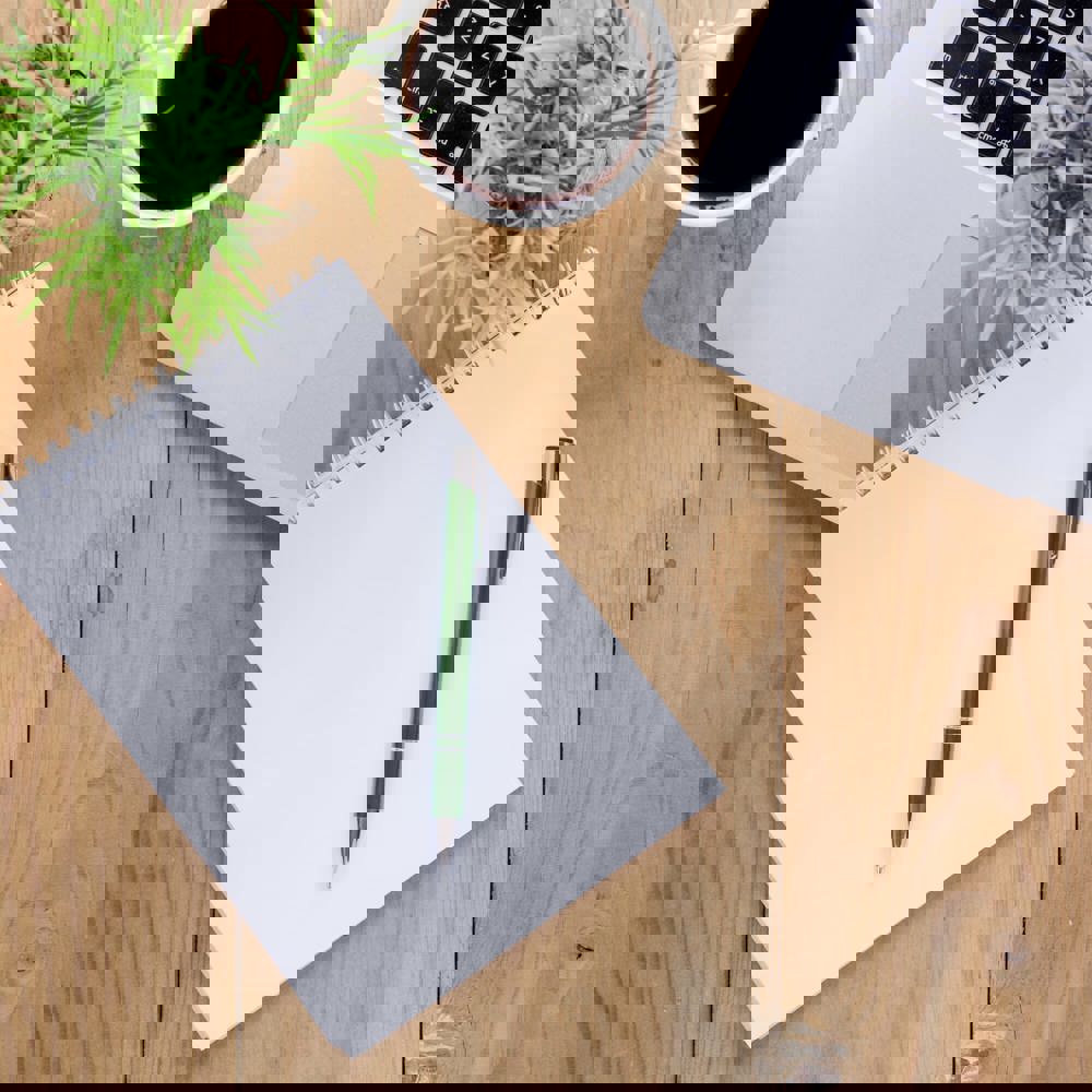 Balpen Alicante metaal