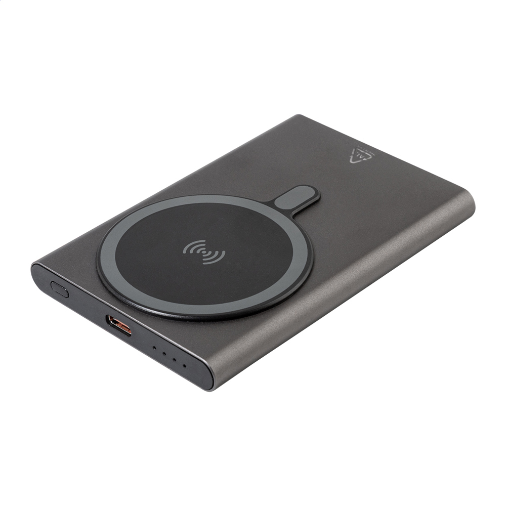 RaluStick - powerbank - Grijs