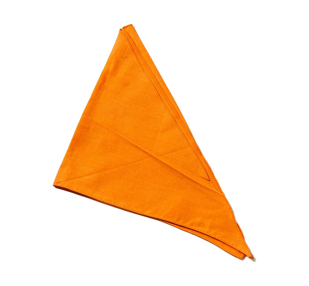 P830 - Bandana driehoek - Oranje