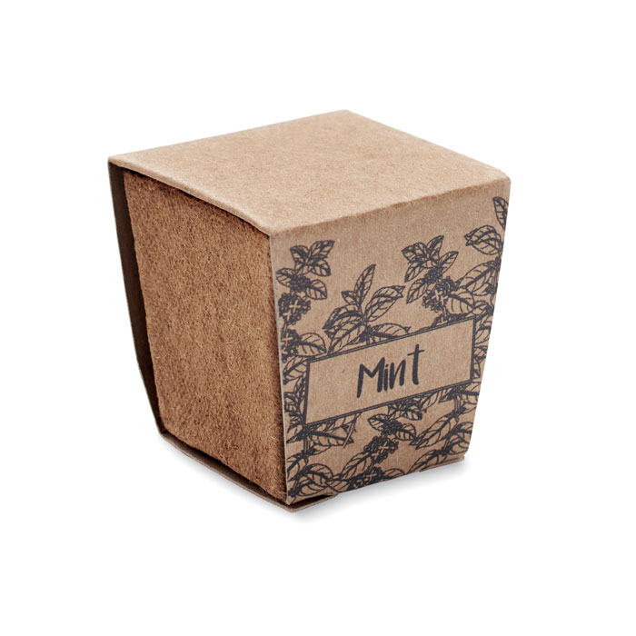 MINT KIT - Muntzaad kweekset