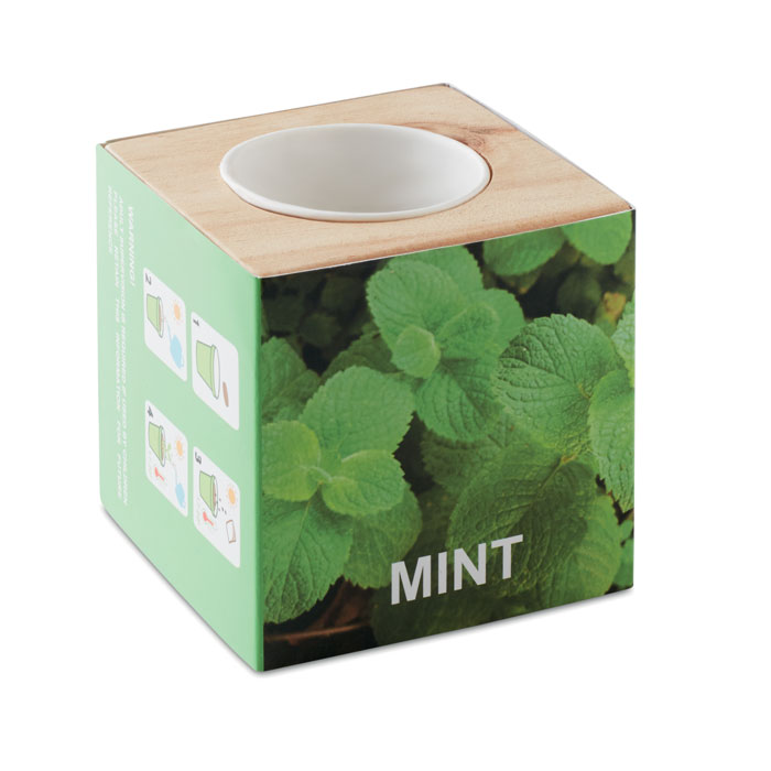 MENTA - Kweekset, munt in houten pot