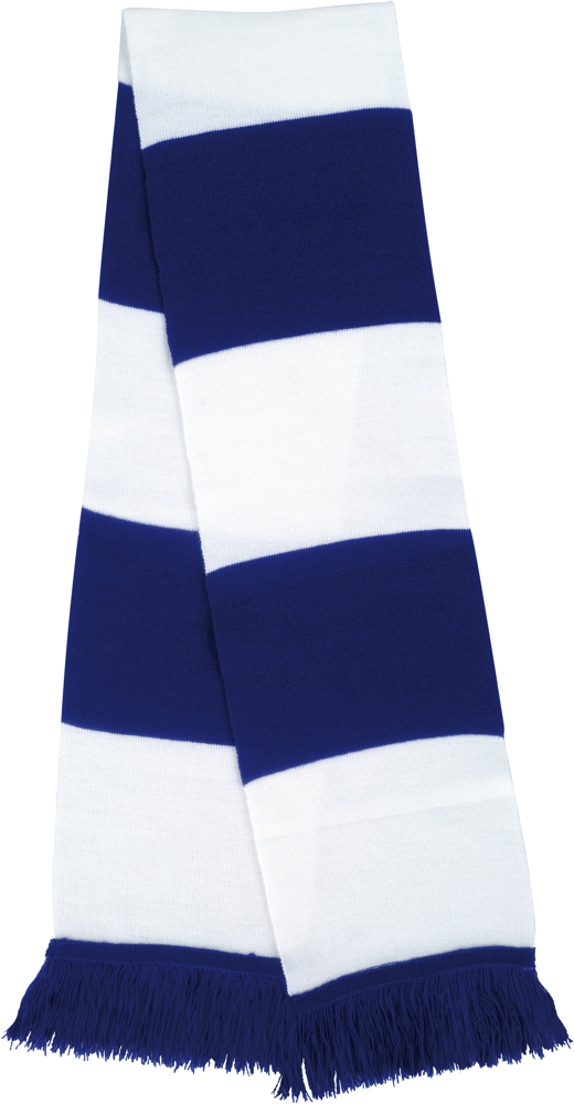 R146X - Team Scarf - Royal Blue / White