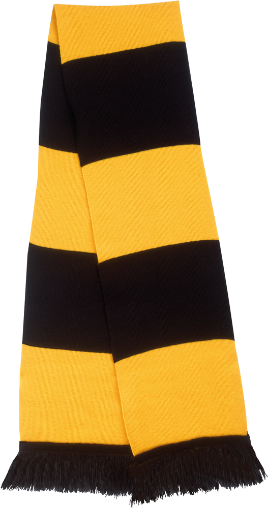 R146X - Team Scarf