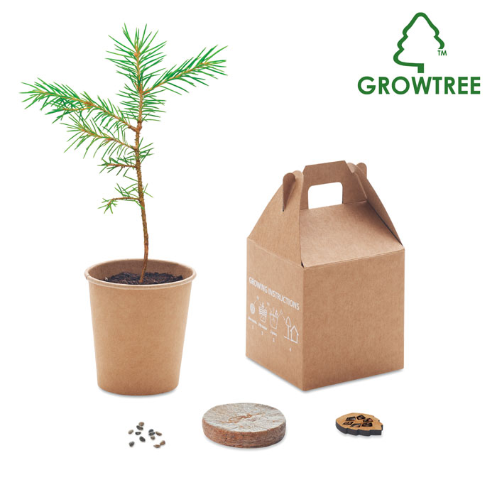 GROWTREE™ - Pijnboom set