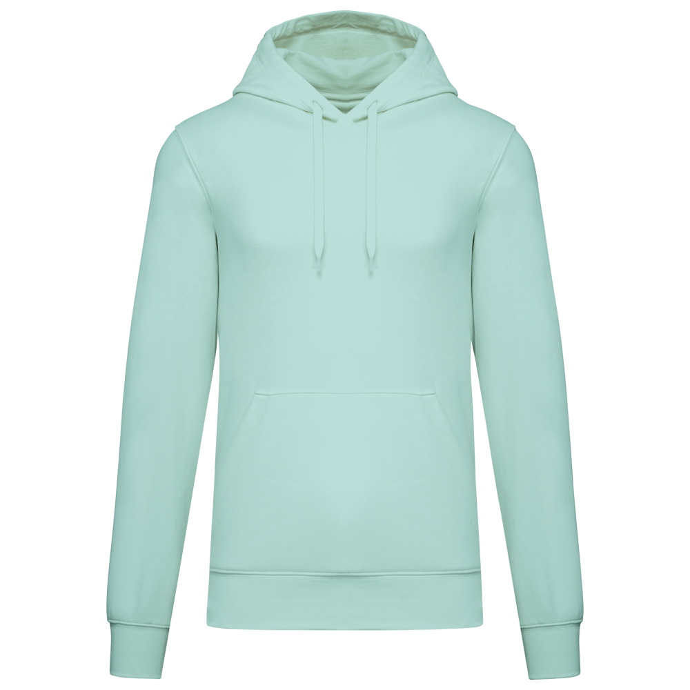 - Ecologische herensweater met capuchon - Ice Mint