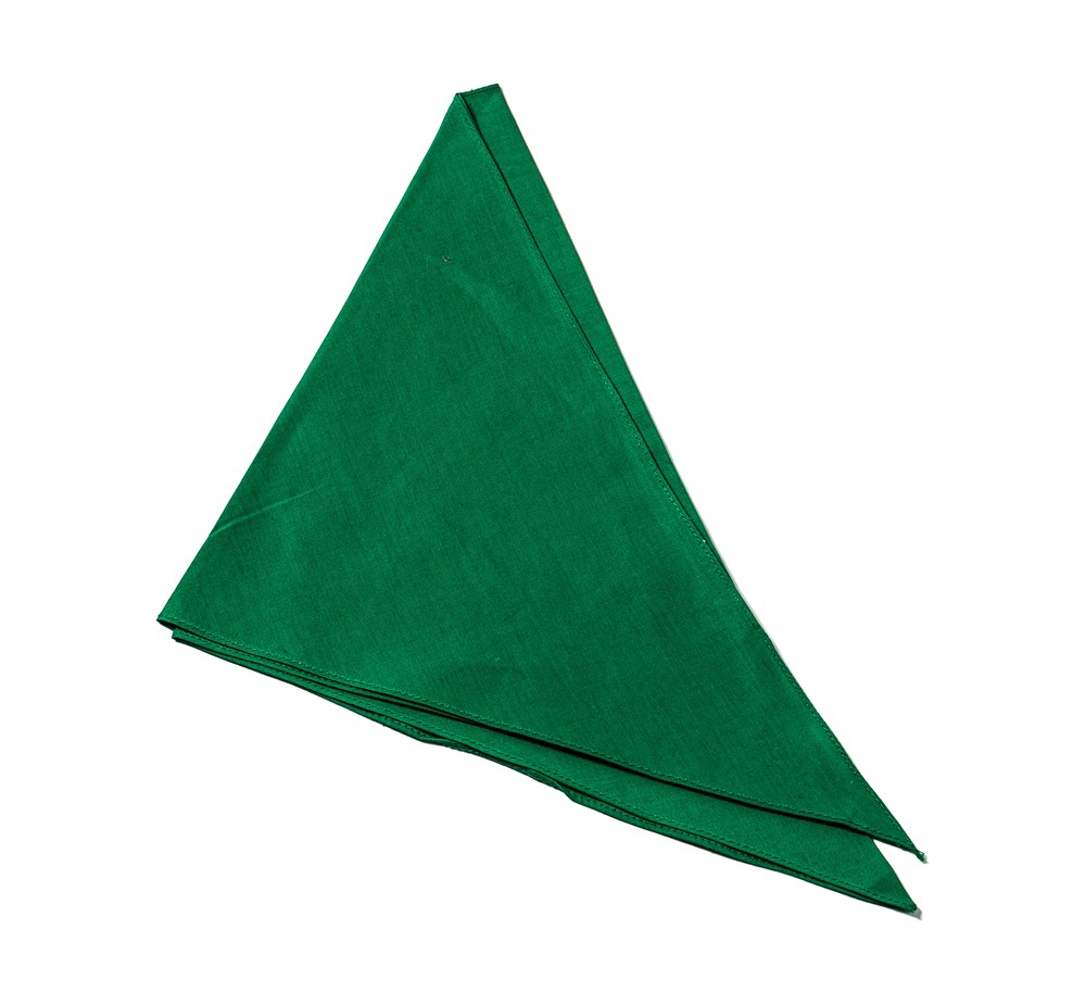 P830 - Bandana driehoek - Groen