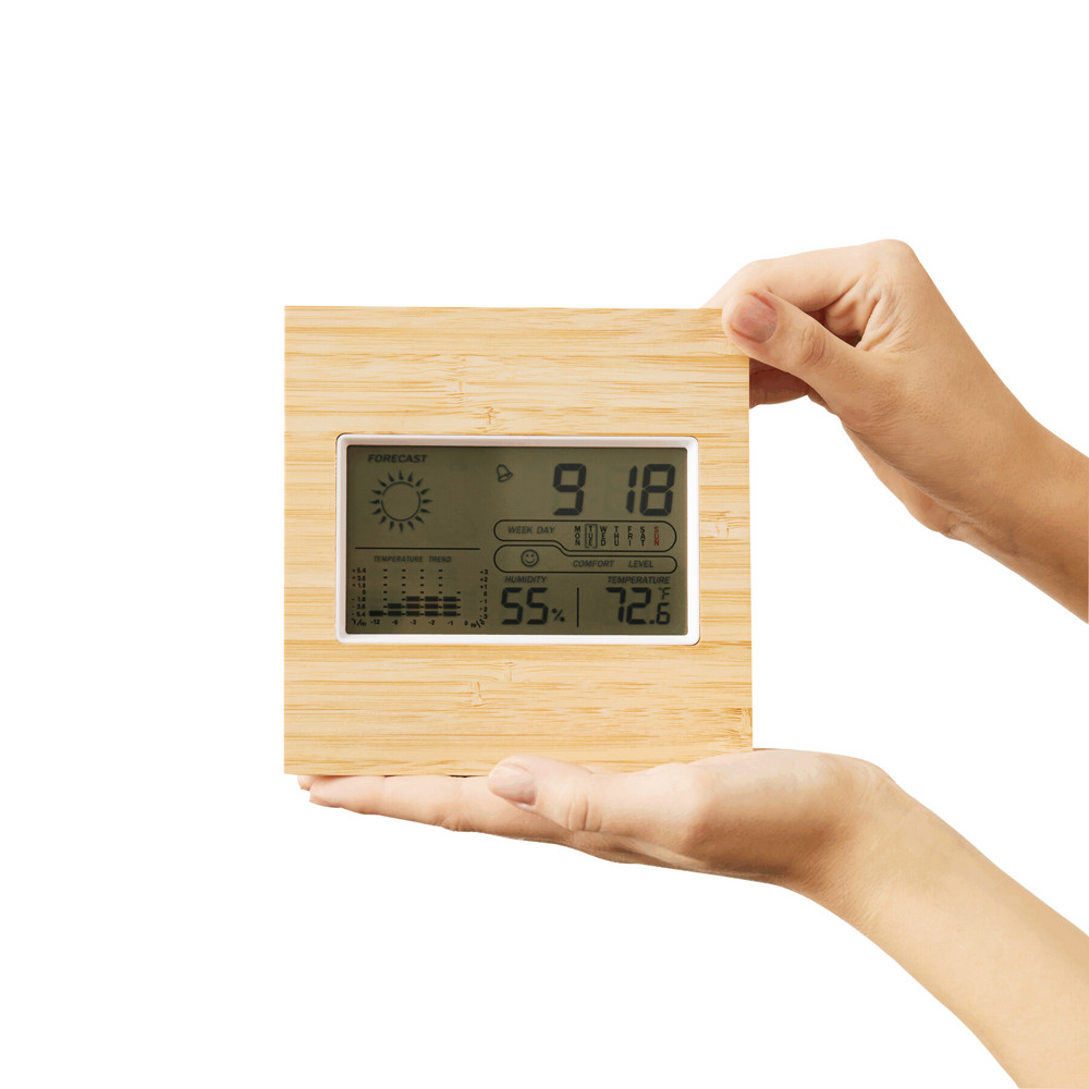 FORECAST - Weerstation